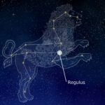 regulus